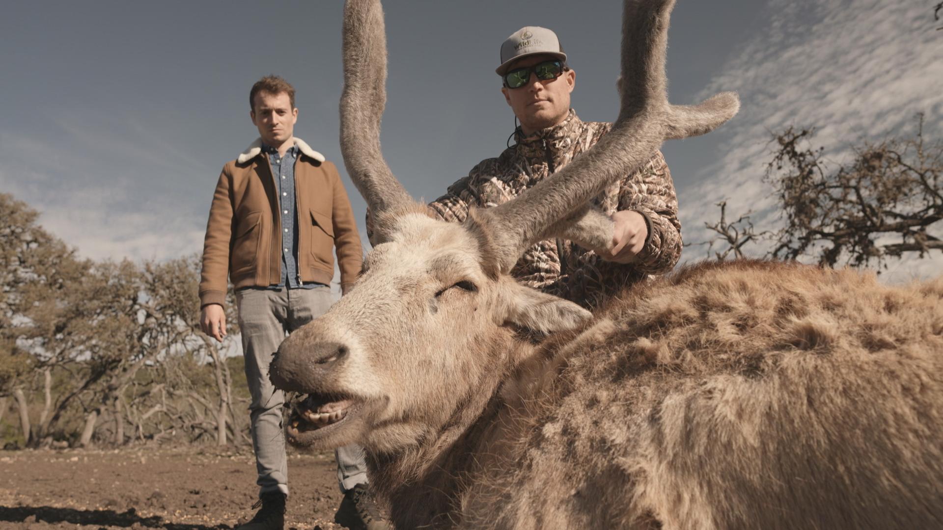 Chasseur Americain Specialise Dans Les Fourrures SUR LE FRONT : LE MONDE OPAQUE DES ENCLOS DE CHASSE | FranceTvPro.fr
